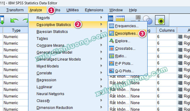 phân phối chuẩn Skewness và Kurtosis trong SPSS