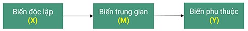 trung gian toan phan mot pha