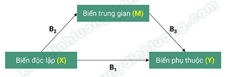 trung gian toan phan mot pha