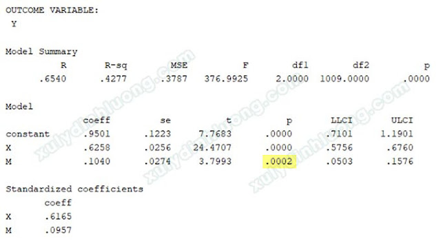 phan tich bien trung gian process spss