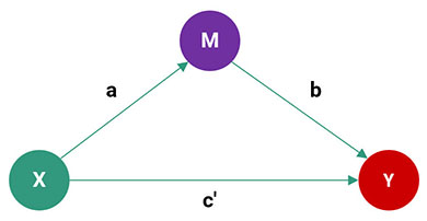 bien trung gian spss