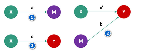 phan tich bien trung gian process spss